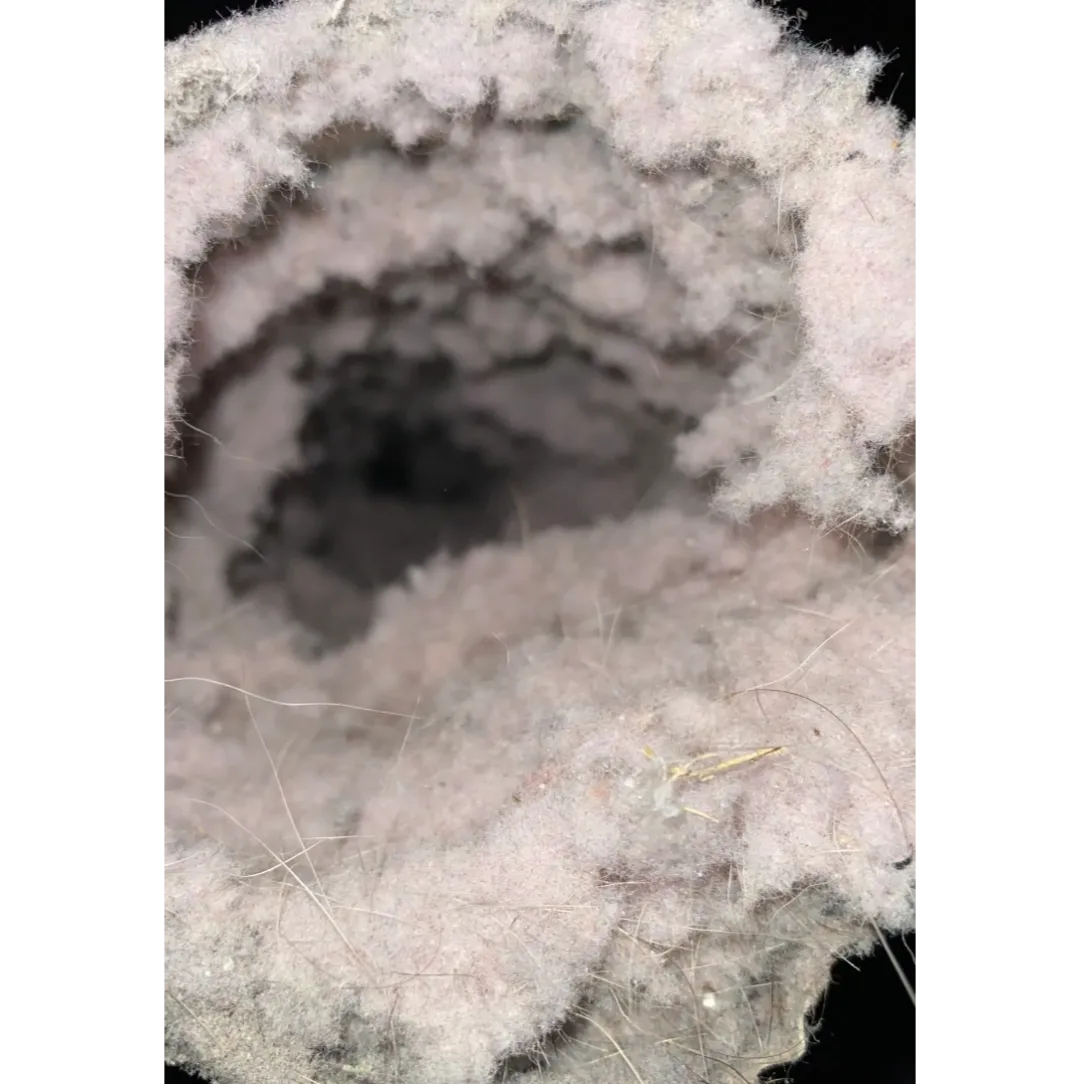 All-Star Dryer Vent Cleaning, Hidden Valley, Nevada 775-224-4136