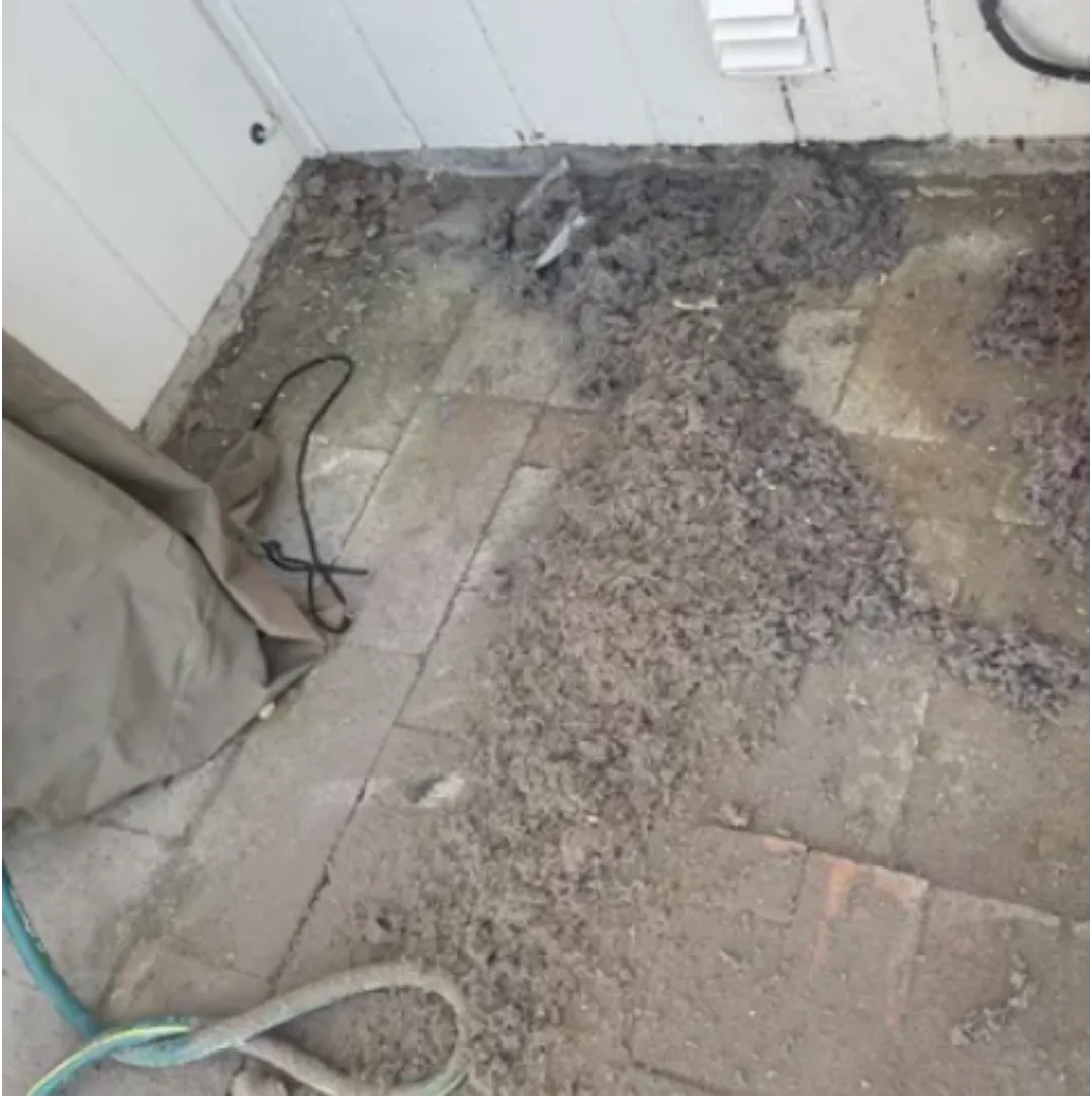 All-Star Dryer Vent Restoration, Minden, Nevada 775-224-4136