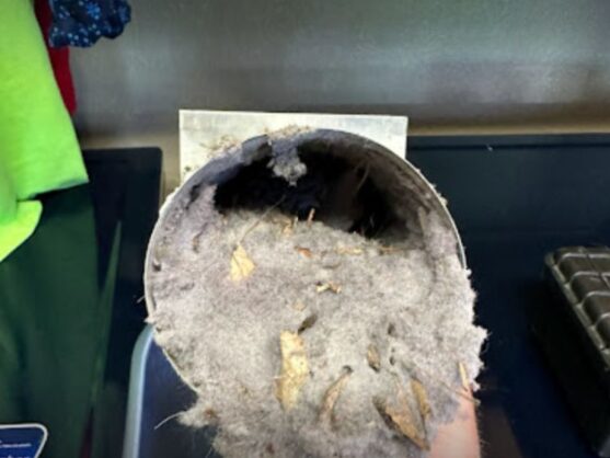 Dryer Vent Cleaning | Reno-Sparks, NV 6 dryer vent cleaning reno-sparks nevada